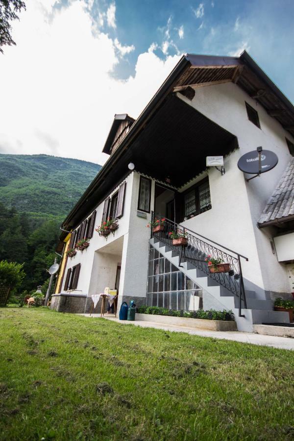 Апартаменты Apartma Kukc II Бовец Экстерьер фото